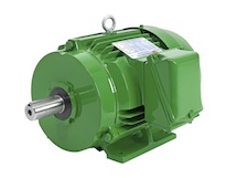 Premium Efficiency Heavy Duty Induction Motor