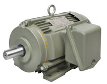  Flameproof Motors- (Ex’d)