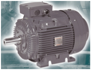 Standard Efficiency Power Series Motor