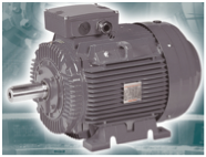 Standard Efficiency Power Series Motors